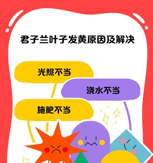 君子兰中间叶子颜色变浅的原因是什么？