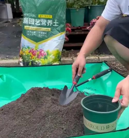 阳台花箱土壤用什么清洗？如何清洗阳台花箱中的土壤？