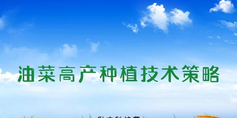 油菜栽培技术的标准是什么？