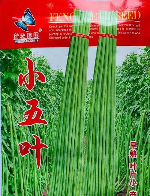 七月份适合播种哪些蔬菜？最佳播种蔬菜品种推荐？