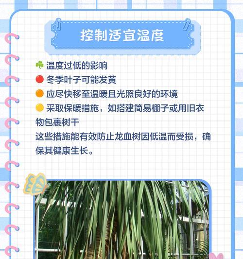 龙骨花修剪后叶子发黄的原因是什么？