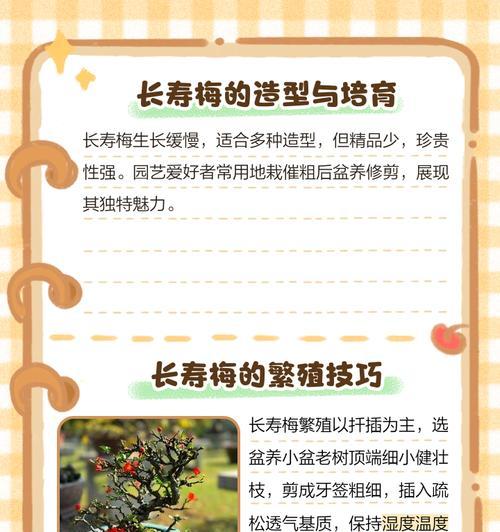 红花一号长寿梅叶子发黄如何处理？有效解决方法是什么？