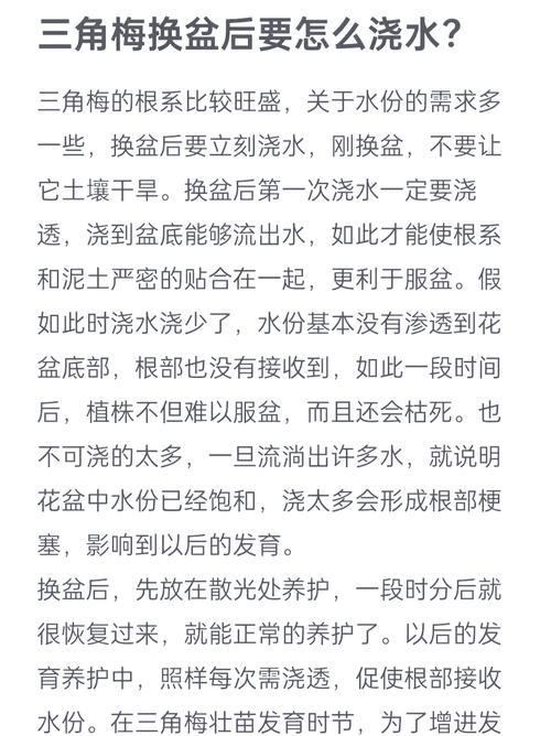 三角梅分盆技巧是什么？如何正确分盆？