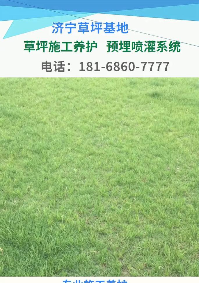 草皮种子播种的最佳季节是什么时候？