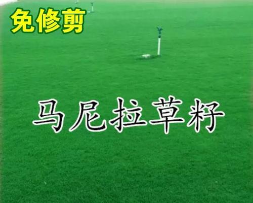 草皮种子播种的最佳季节是什么时候？