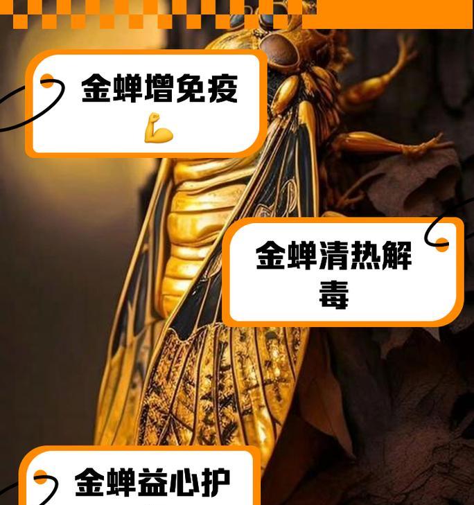金蝉播种的最佳时间是什么时候？