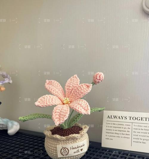 如何手工钩制君子兰的花？