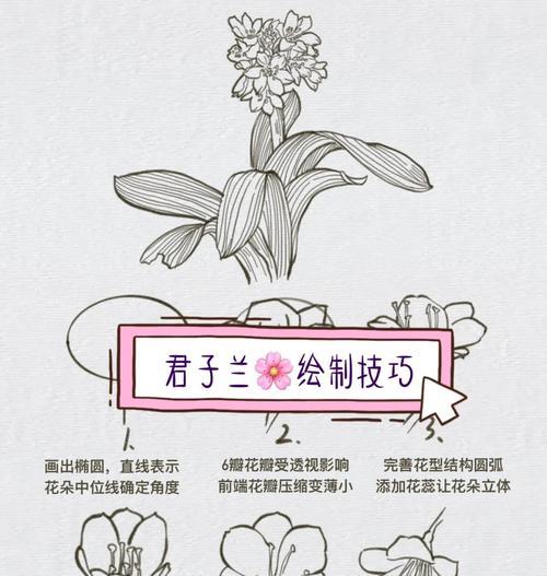 如何手工钩制君子兰的花？