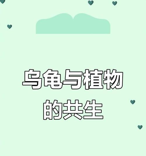 乌龟能养哪些水生植物？适合的种类有哪些？