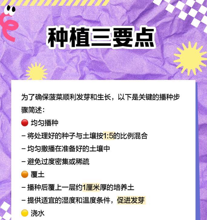 菠菜冷地栽培的关键技术要点是什么？