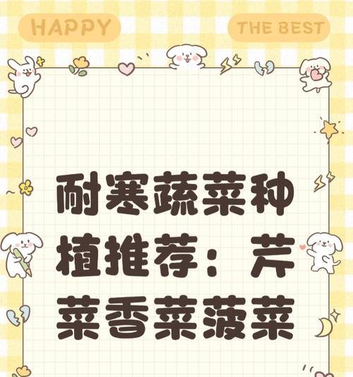 菠菜冷地栽培的关键技术要点是什么？