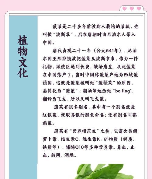 菠菜冷地栽培的关键技术要点是什么？