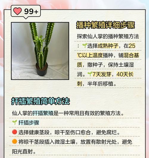 仙人掌如何正确浇水才能促进生长？