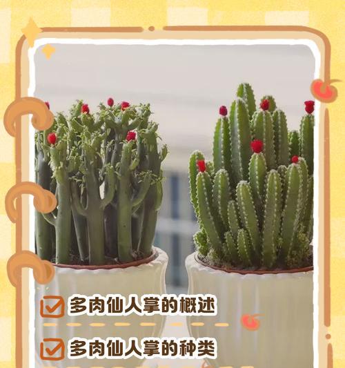 仙人掌如何正确浇水才能促进生长？