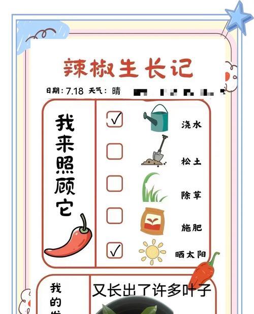 播种的菜苗为什么长不大？如何解决菜苗生长缓慢的问题？