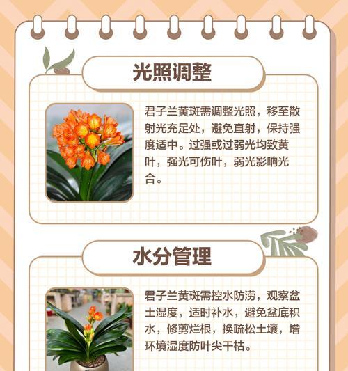君子兰常见的害虫有哪些？如何防治君子兰中的害虫？