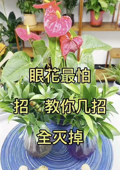 养花有哪些好技巧？
