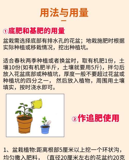 君子兰肥料使用不当怎么办？