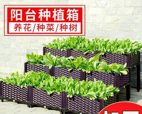 盆景碳化火枪的正确使用方法是什么？
