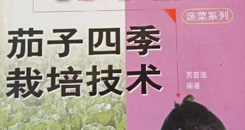茄子栽培技术要点及常见问题解答？