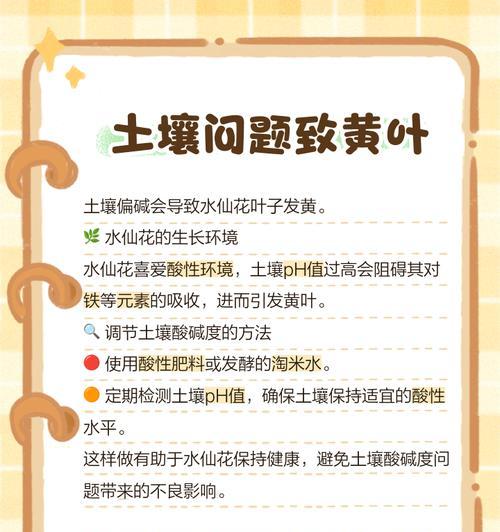 水仙叶子发黄该如何补救？