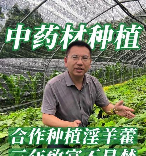 淫羊藿的栽培技术有哪些？怎样才能成功种植？
