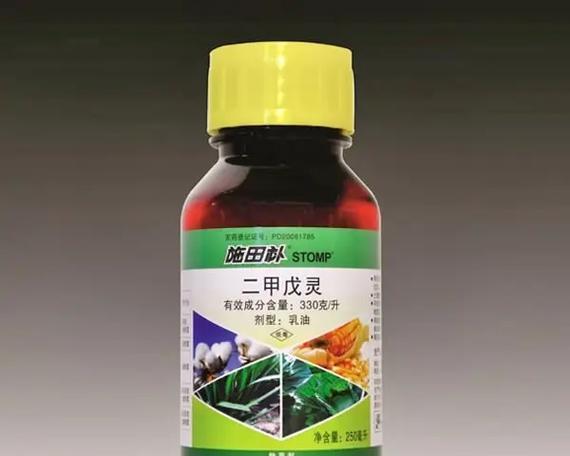 蚌埠地区韭菜的最佳播种时间是什么时候？
