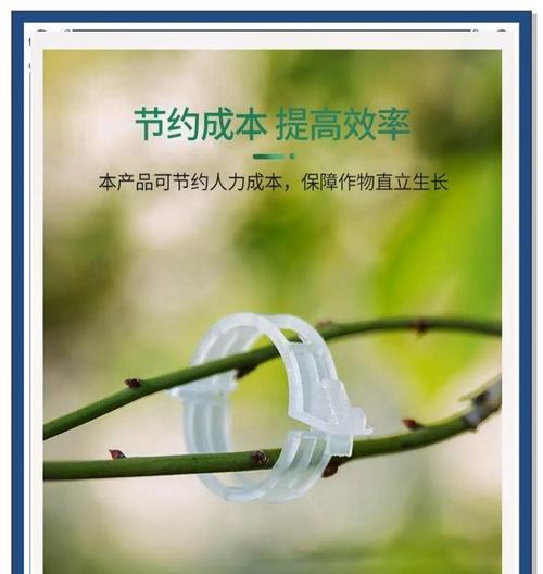 木本植物枝叶固定在树上的正确方法？