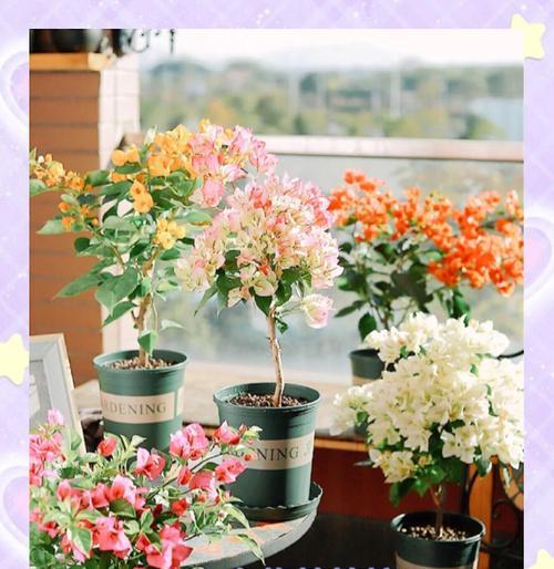 木本植物枝叶固定在树上的正确方法？