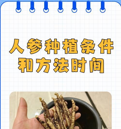 不同播种方法的特点是什么？哪种播种方式最适合家庭种植？