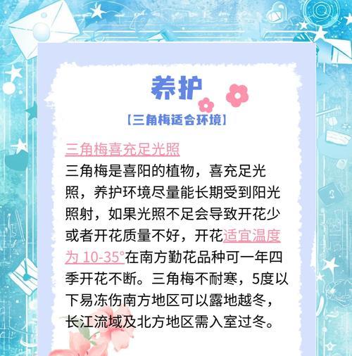 重瓣粉三角梅的正确养护方法是什么？
