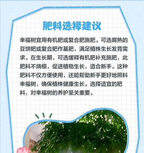 树木施肥量如何把握？施肥技巧有哪些？
