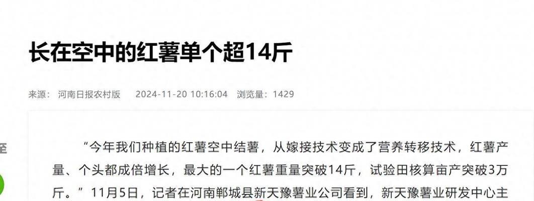 河南地区为何不适合种植红薯？