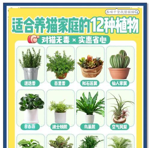 哪些水生植物适合猫咪养殖？