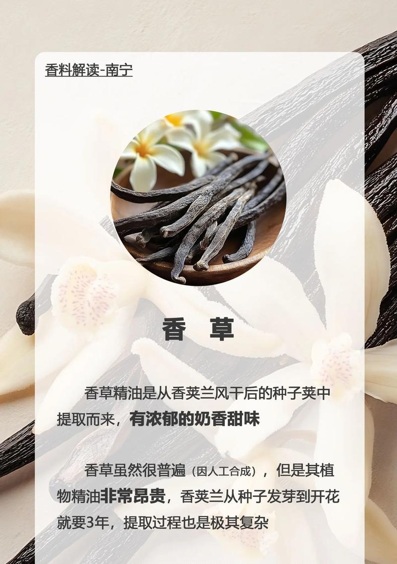 植物类香草的特点是什么？如何正确识别和使用？