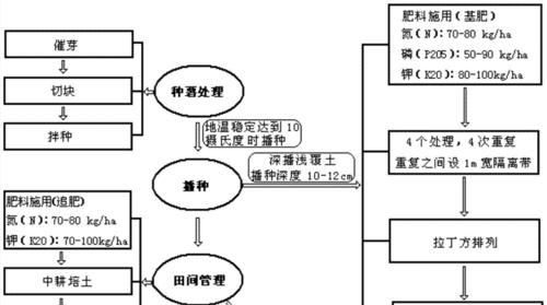 商品薯栽培技术有哪些？如何提高产量和质量？