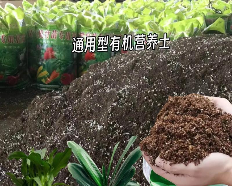 阳台养的花需要松土吗为什么？松土对植物有何好处？