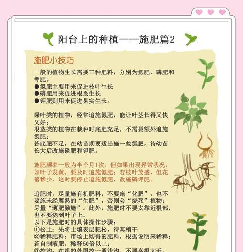 阳台养的花需要松土吗为什么？松土对植物有何好处？