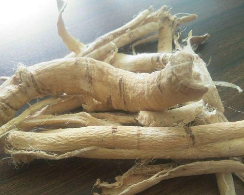 杨雀花苗叶子发黄的处理方法是什么？