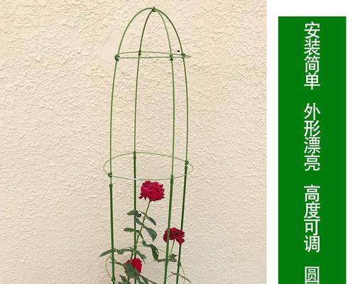 怎么自制铁线莲爬藤架？有哪些制作技巧？