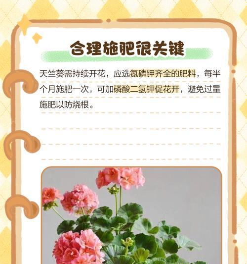 天竺葵带根水培的正确方法是什么？