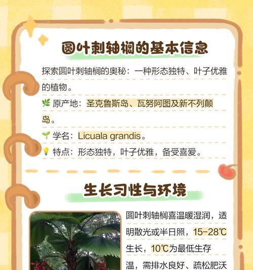 圆叶棕榈叶子发黄是怎么回事？圆叶棕榈叶子发黄的原因是什么？