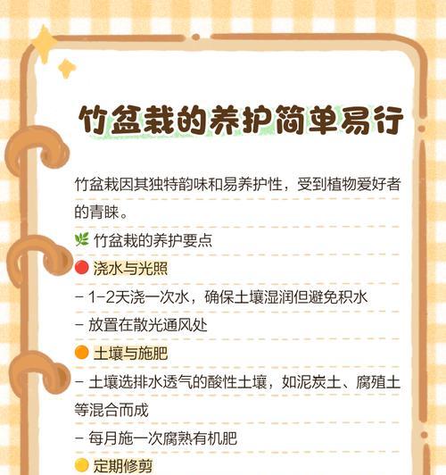 竹林下适合种植哪些观赏植物？如何养护？