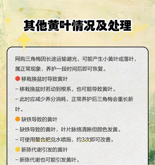 腊梅叶子枯黄的原因及解决办法？