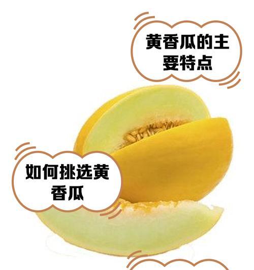 香瓜叶子芯发黄是什么原因？