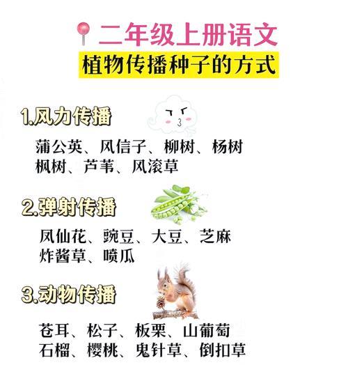 什么食物可以通过风来传播种子？风媒传播种子的植物有哪些？