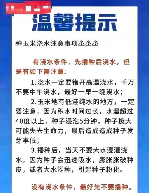 新疆播种玉米的最佳季节是什么时候？