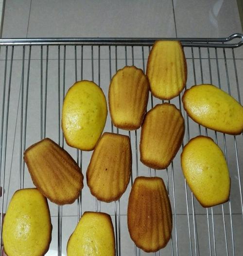 油橙播种什么时间最好？最佳时间是什么时候？