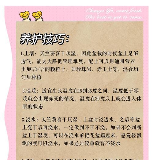 天竺葵不爱消苞应该怎么办？