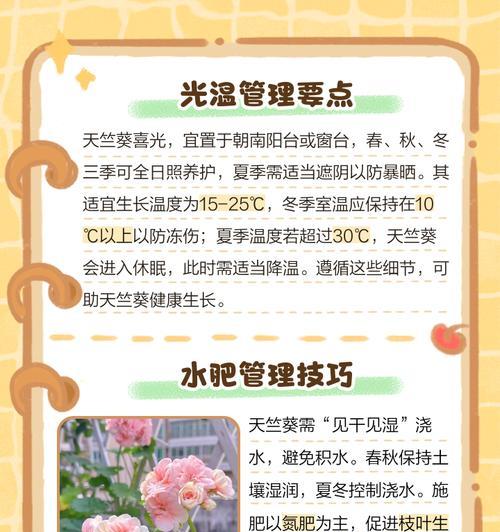 天竺葵不爱消苞应该怎么办？